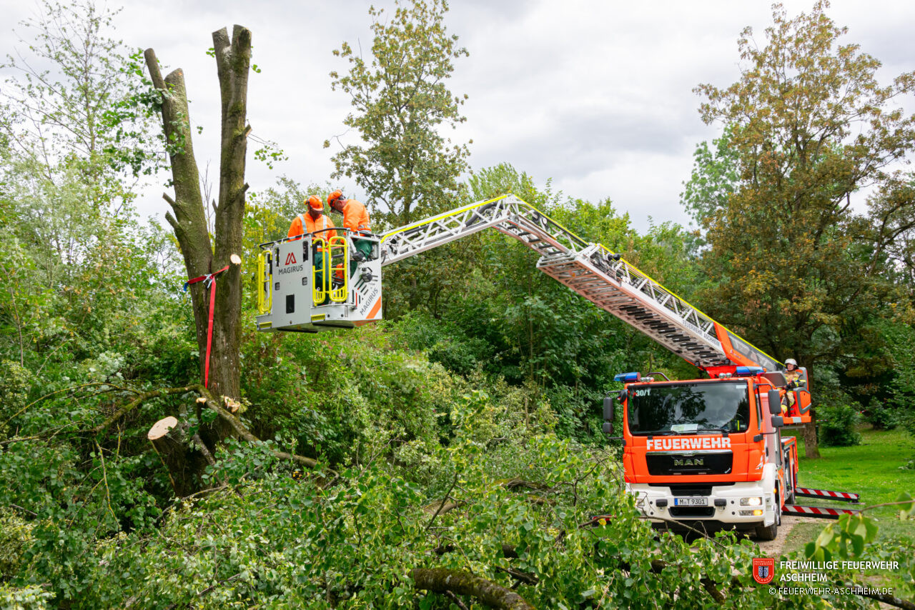 Technische Hilfe Thl Klein Baum Auf Stra E Am